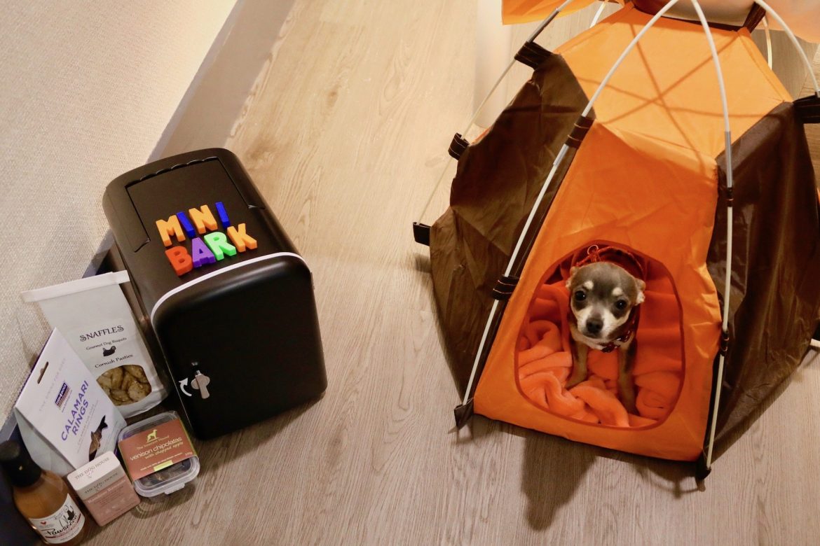 Dogs' high life with easyhotel