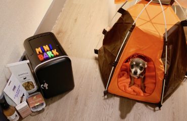 easyhotel pupgrade Dogs' high life with easyhotel