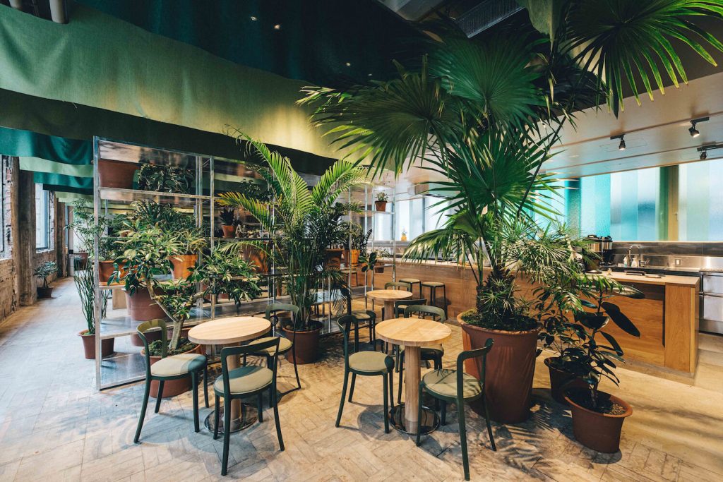 K5 Toykyo coffee shop